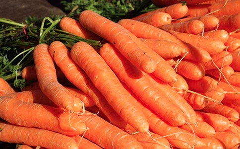 胡萝卜作文300字