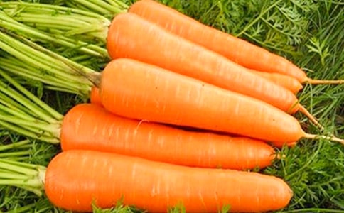 ���ܲ��ĵ���