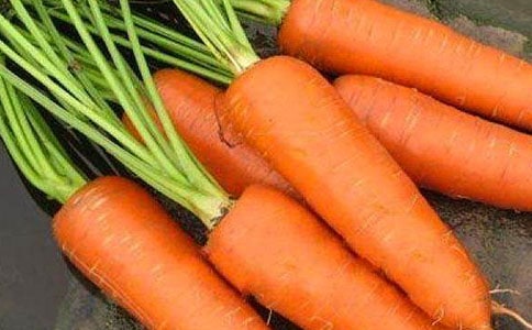 绿萝卜能和胡萝卜一起吃吗