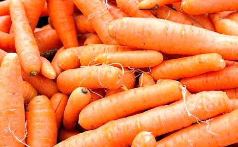 胡萝卜的作文300字四篇