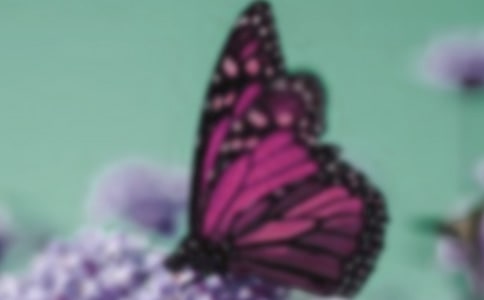 ����Ȫ�κ��Ķ���