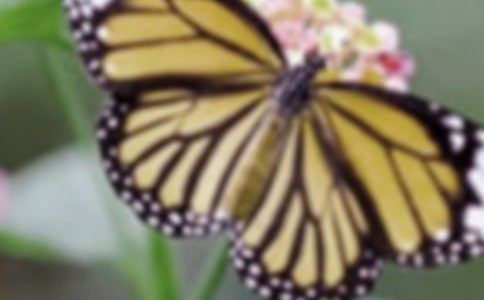 �а���Ϸ�����ɷɻ����