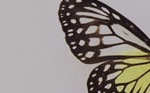 �а���Ϸ�����ɷɽ̰�