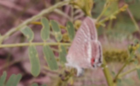 ����ѡ����������300����ƪ