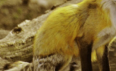 ���˲������ְ֡������