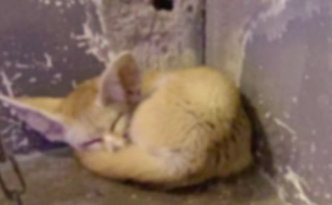 �˲���ĺ���ְֶ���С��ȡ�