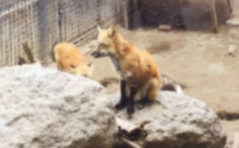 ����ѻ�ͺ��꡷�����