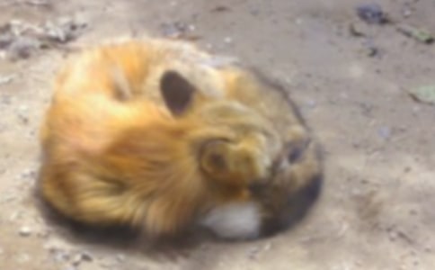 ���˲���ĺ���ְ֡��Ķ����