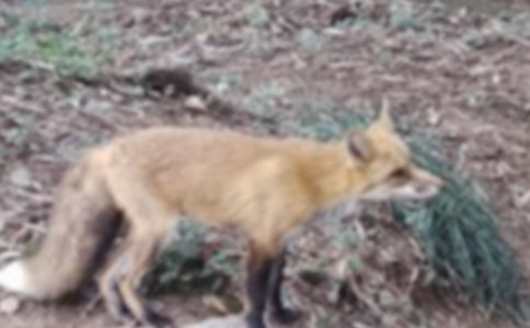 ���˲���ĺ���ְ֡������