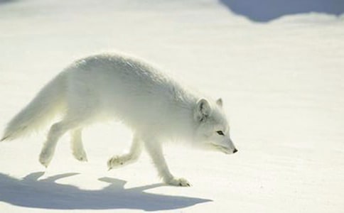 ��ͨ�á����˲���ĺ���ְ֡������15ƪ