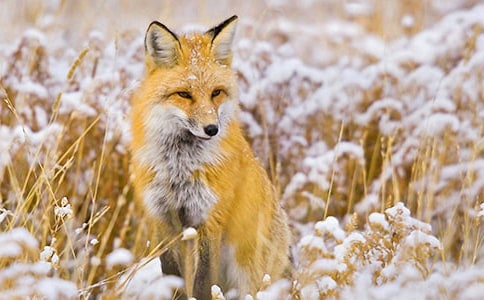 ���˲���ĺ���ְ֡������ͨ��[15ƪ]