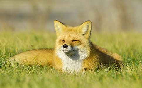 ����Ʒ����ѻ�ͺ�������300��6ƪ