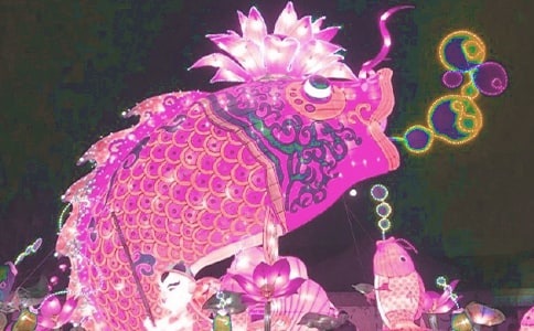 写花灯的作文300字