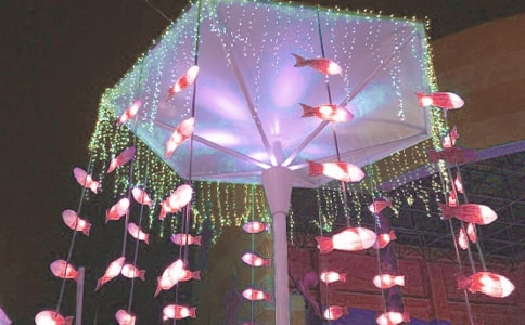 �����ƻ����