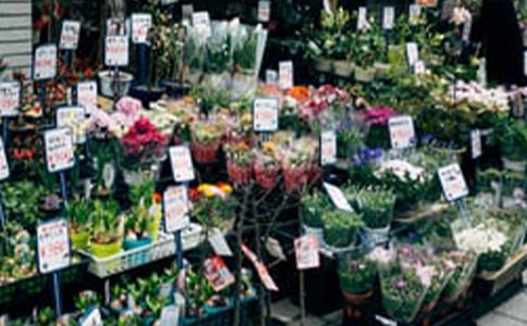 ������������