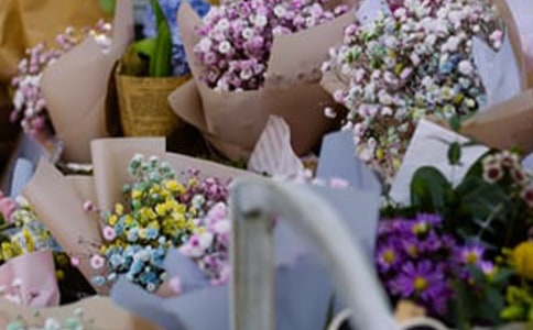 花店名字大全,好听的花店起名大全