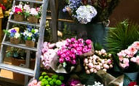 ����������