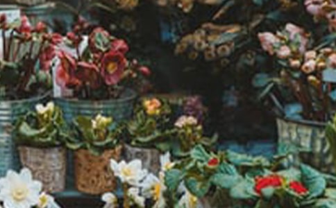 ���������������15ƪ