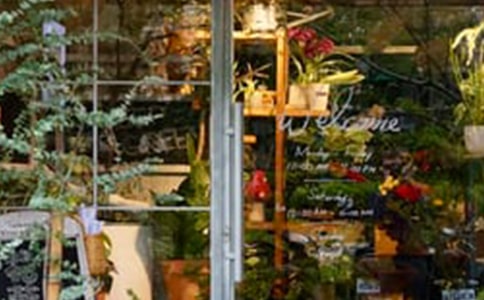 花店活动方案15篇