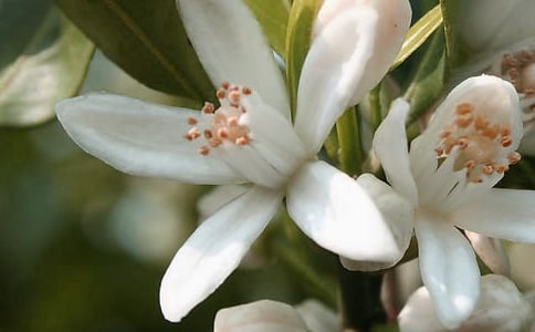 2023���̵Ļ�����������ժ¼36��