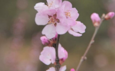 ͨ�û����������Ӽ���78��