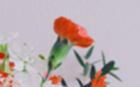 2023年花朵优美句子集合86句