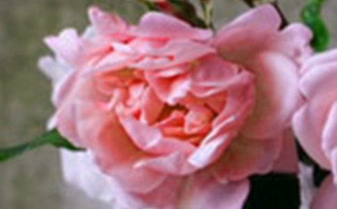 ��̵Ļ����������ӻ��45��