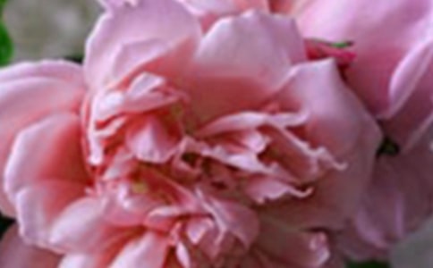 2023�꾭�仨����������75��