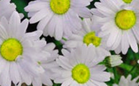 �йػ�����������36��