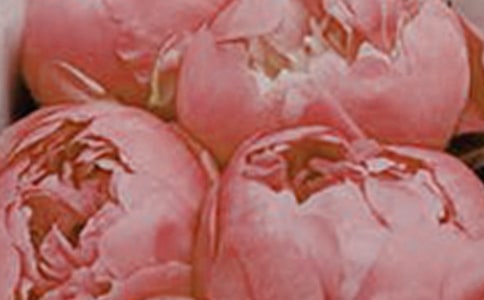 2023�껨���������Ӽ���69��