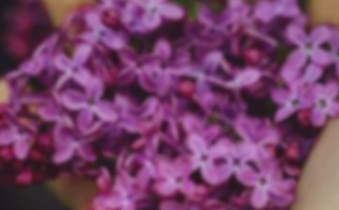 2023���̵Ļ����������Ӽ���49��