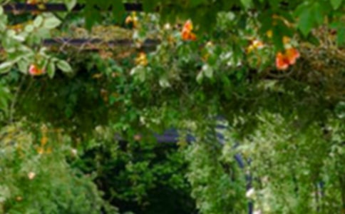 δ���Ļ�԰С��������500��