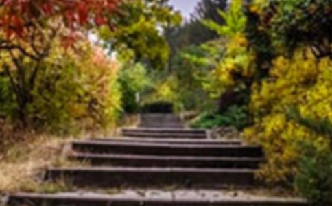 2018年长江日报常青花园党员常青学习心得体会