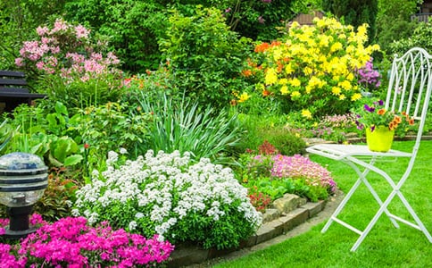 花园作文300字七篇