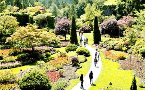 精选花园作文300字8篇