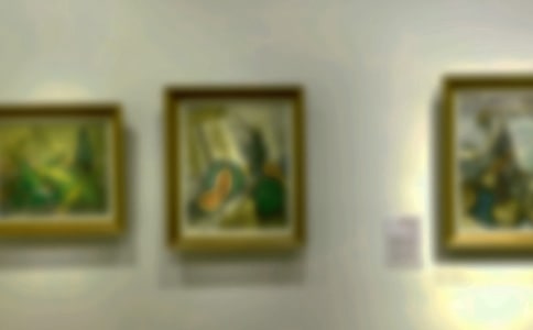 书画展活动方案精选15篇