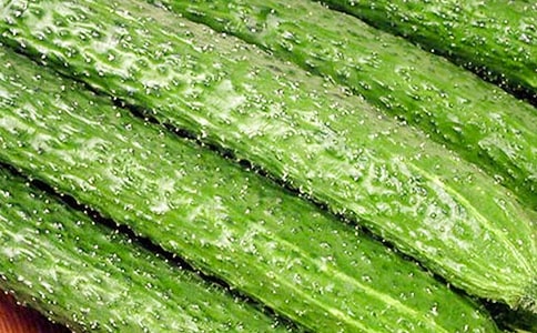 【热门】黄瓜的作文300字3篇