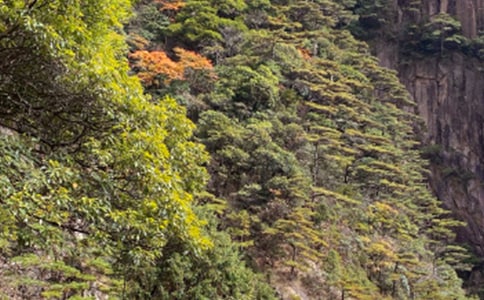 ��ɽ�б�������Щ��ѧ,��ɽ�����еĴ�ѧ������������