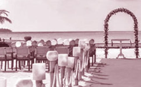 ����ף����