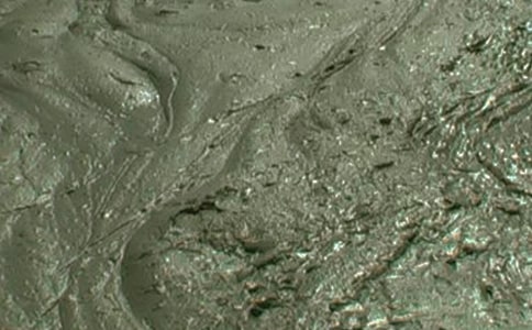 ����������վ���չ����ܽ�9ƪ