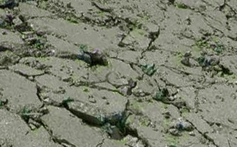 �������ĵ���᷶�ģ�ͨ��5ƪ��