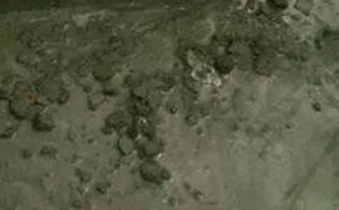 ����������վ���չ����ܽ�6ƪ