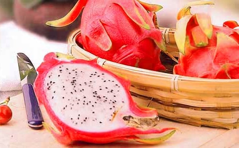 红火龙果和白火龙果的区别