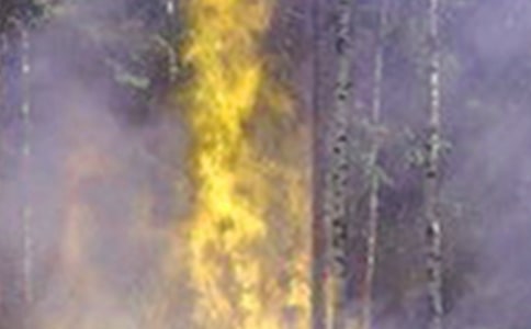 如何预防电气类火灾