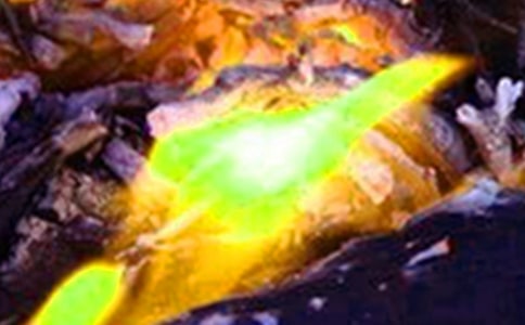 火灾应急演练方案模板(精品)