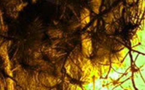 冬春火灾防控工作方案