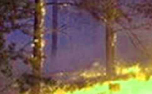 Ԥ�����ֵ���������15ƪ