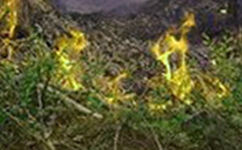 电气火灾监控系统宣传语