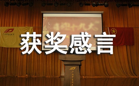 年终总结大会获奖感言5篇