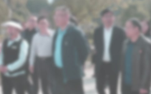 Υ���ͼ���ɼ�����